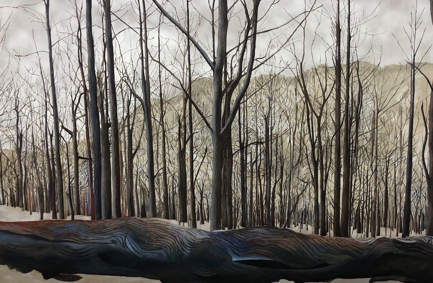 Murmure entre les Brances